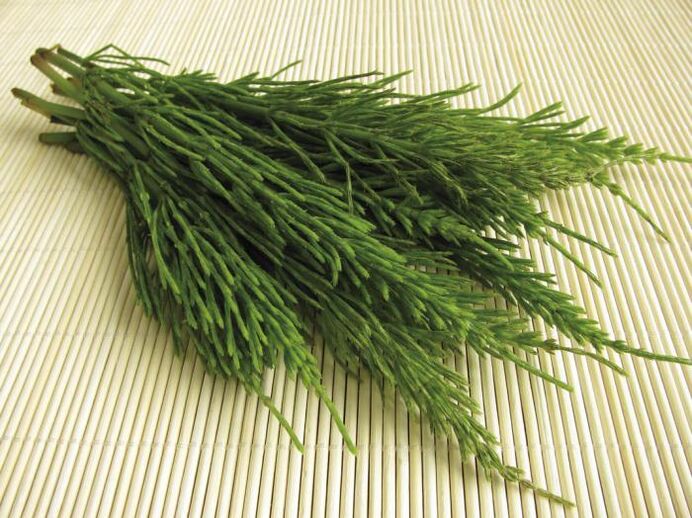 Horsetail - a natural weight loss diuretic